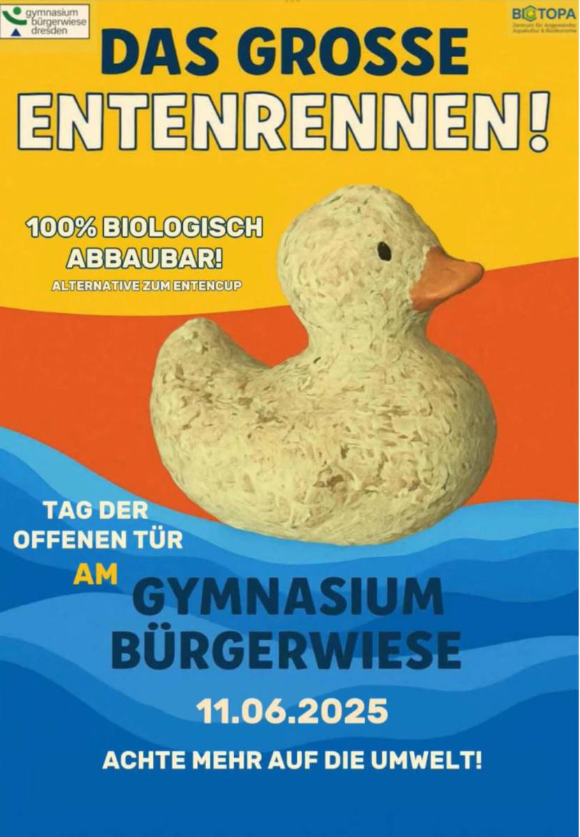 Schaufenster Bürgerwiese am 11.06.25